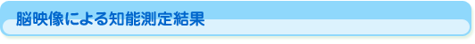 脳映像による知的測定結果